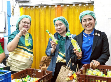 ลงพื้นที่ศึกษาดูงานภายใต้โครงการประชุมเชิงปฏิบัติการพัฒนาทักษะบุคลากรเพื่อขับเคลื่อนงานด้านการส่งเสริมสินค้าเกษตรอัตลักษณ์พื้นถิ่นและผลิตภัณฑ์ชุมชน ซึ่งมีกำหนดจัดระหว่างวันที่ 28–30 สิงหาคม 2568 ... พารามิเตอร์รูปภาพ 14